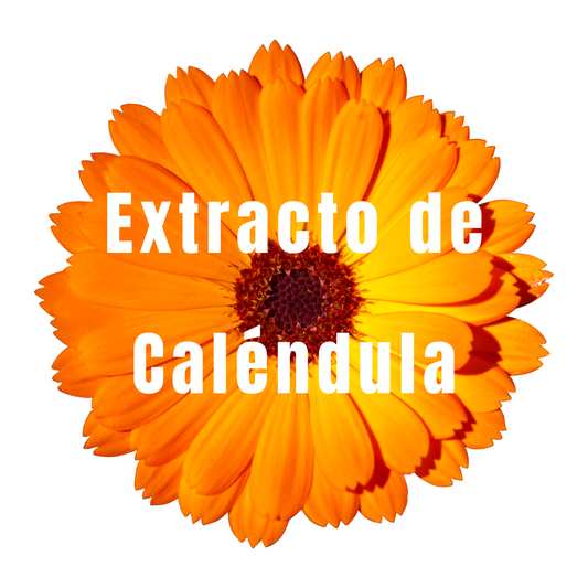 Extracto de Caléndula - Oleoto 5ml - Simple As.