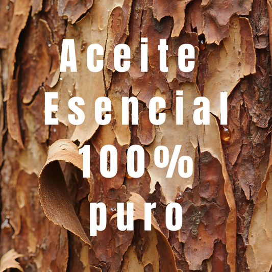 Aceite Esencial de Alcanfor