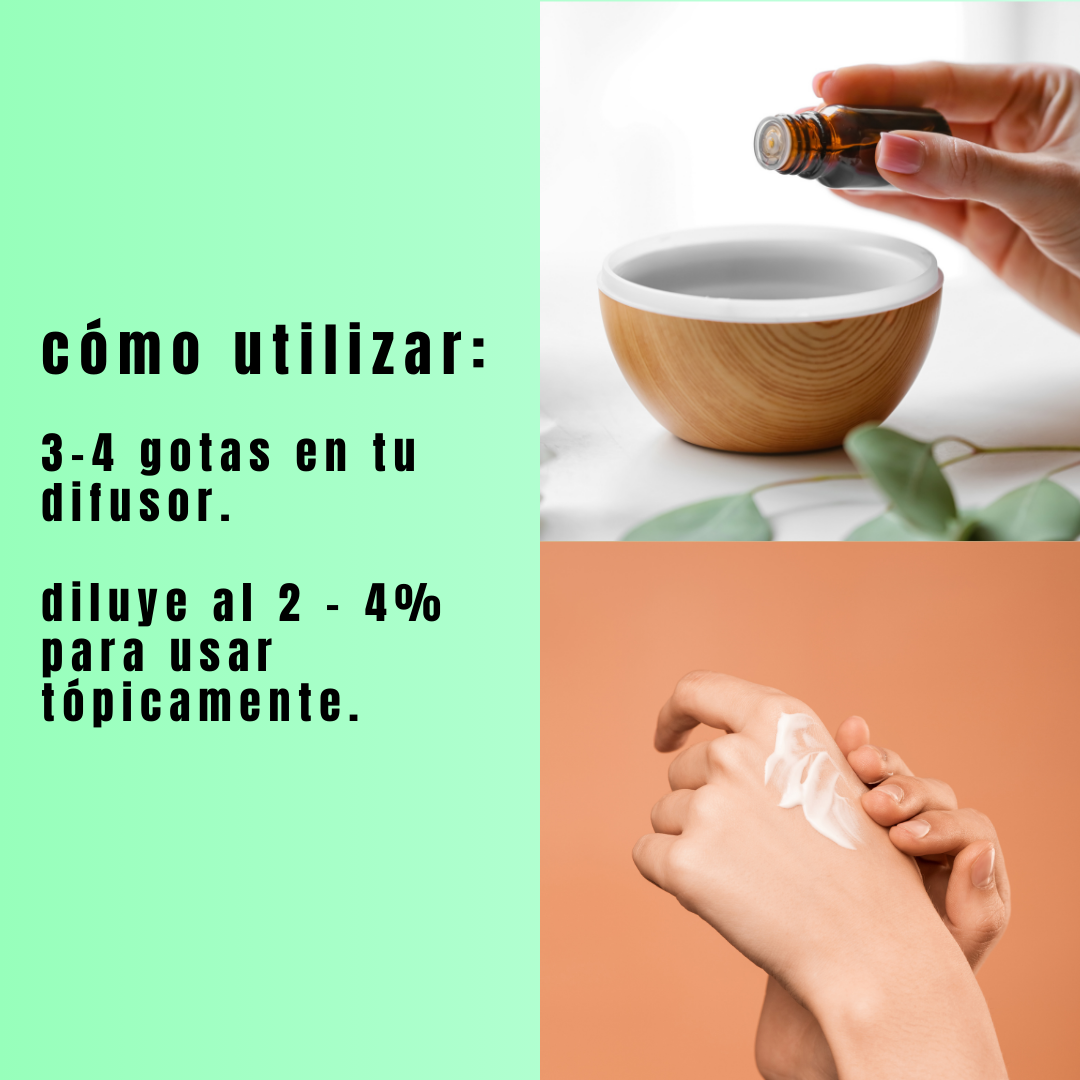 como usar el kit.