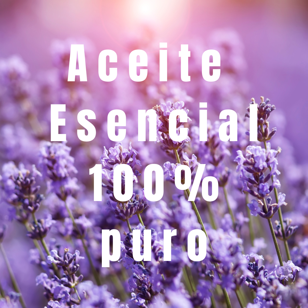 foto de plantas de lavanda con el texto "aceite esencial 100% puro"