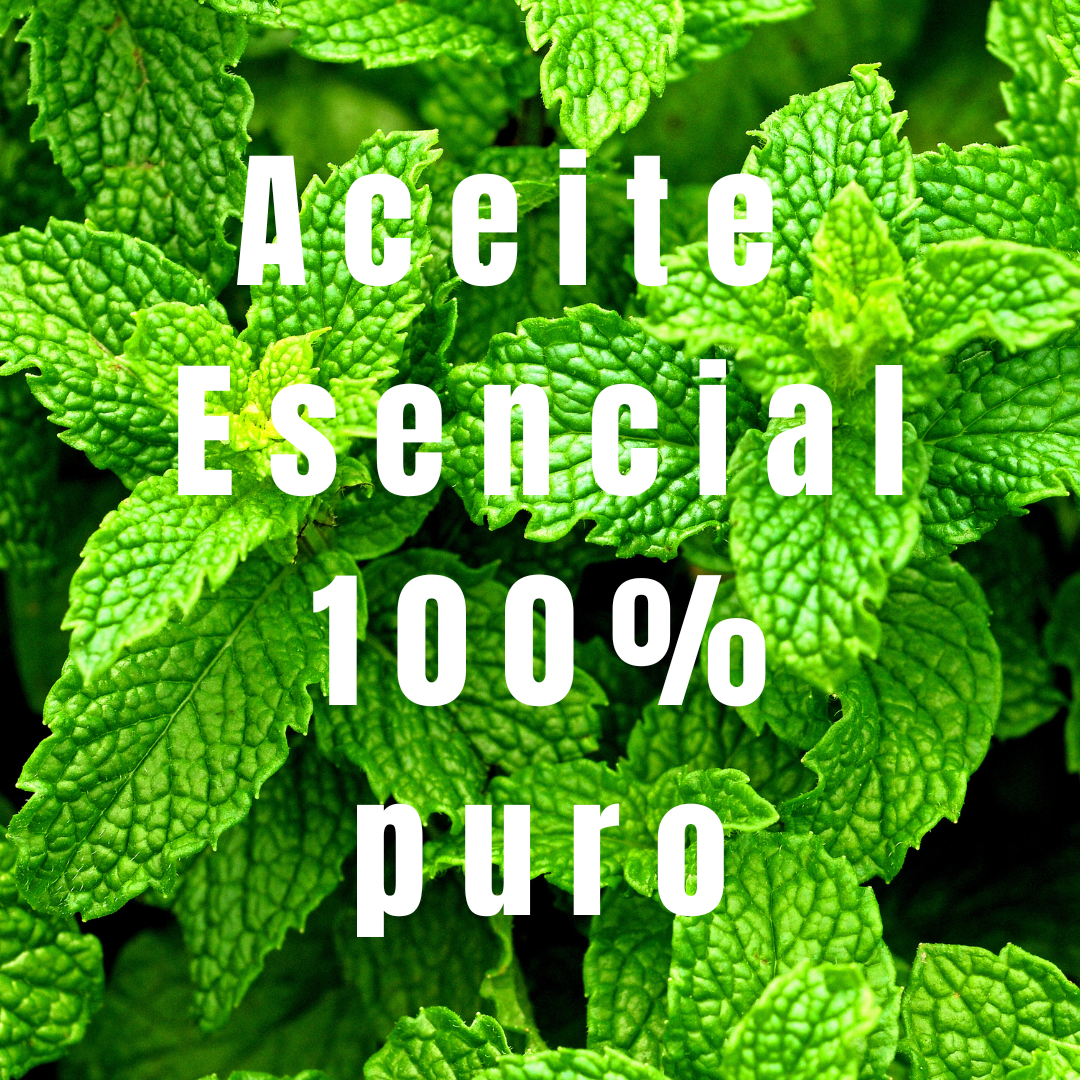 foto de plantas de menta con el texto "Aceite Esencial 100% puro"