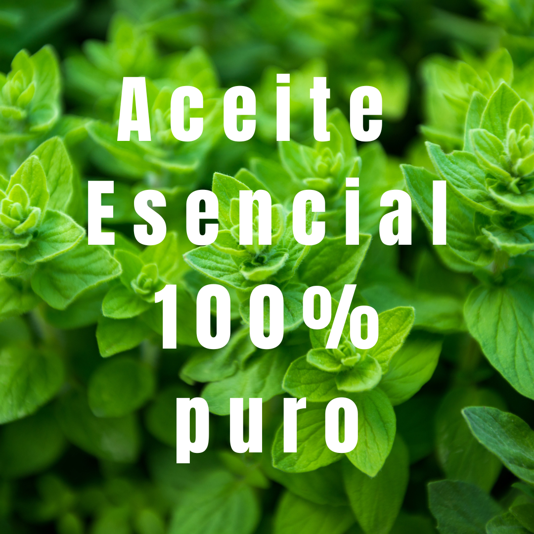 plantas de orégano con el texto 100% puro.