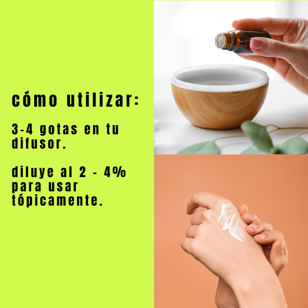 Aceite Esencial de Romero - Simple As.