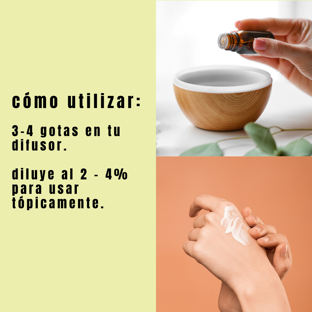 como usar el Aceite Esencial de Árbol de Té Orgánico de Simple As.