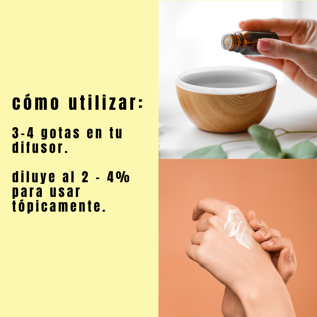 guia como usar el aceite esencial de limón de simple as.