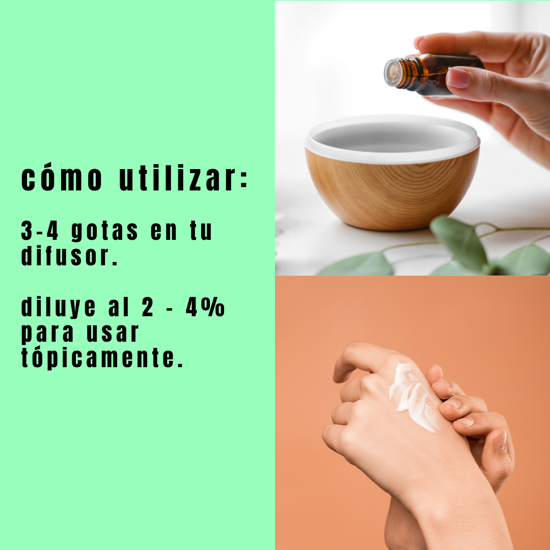 guia como usar el Aceite Esencial de Menta Orgánico de Simple As.