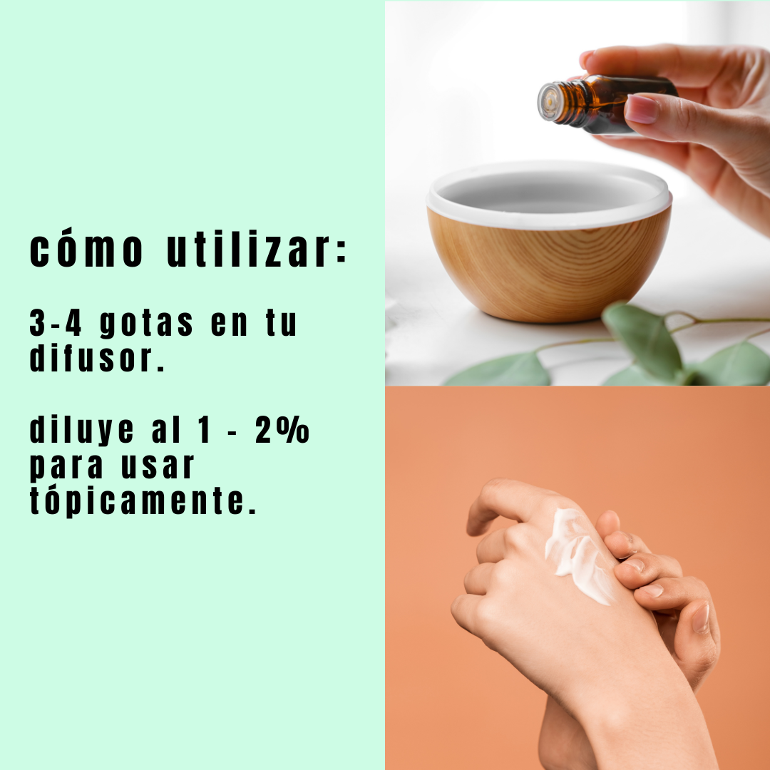 guia como usar el aceite esencial orégano.
