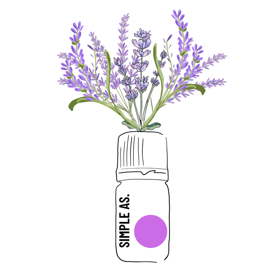 un dibujo de aceite esencial de lavanda con plantas de lavanda.