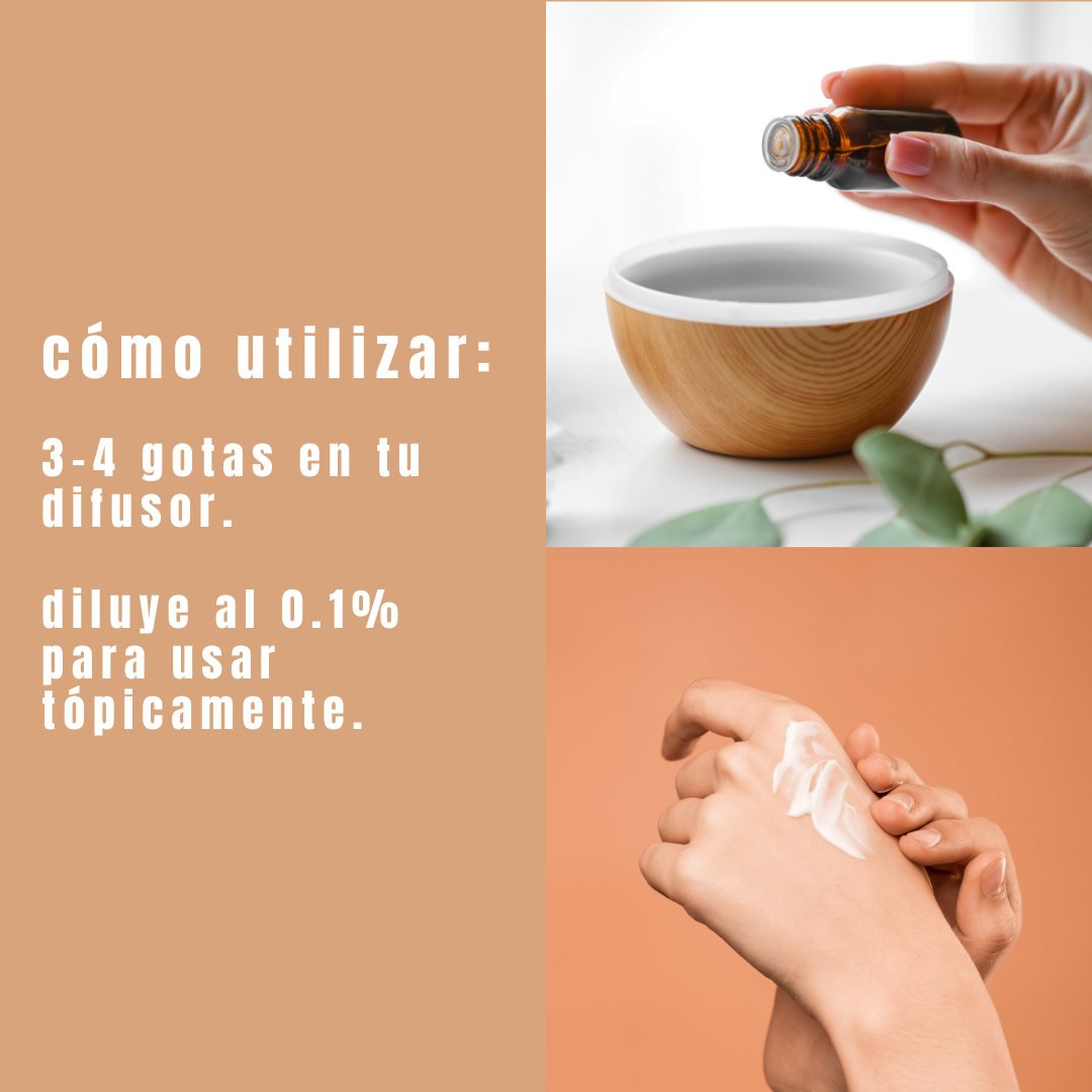 Aceite Esencial de Canela