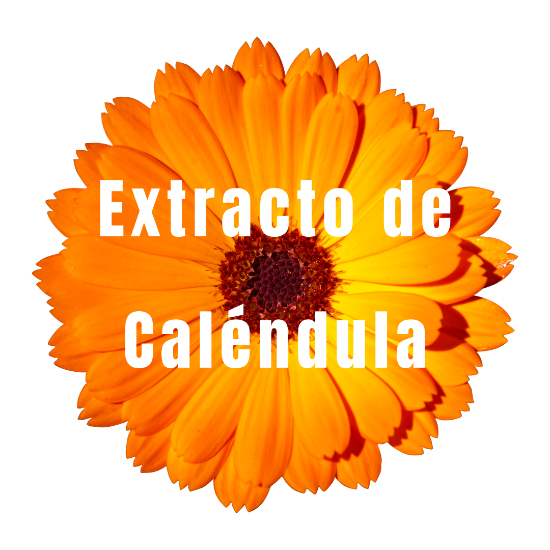 Extracto de Caléndula - Oleoto 5ml - Simple As.