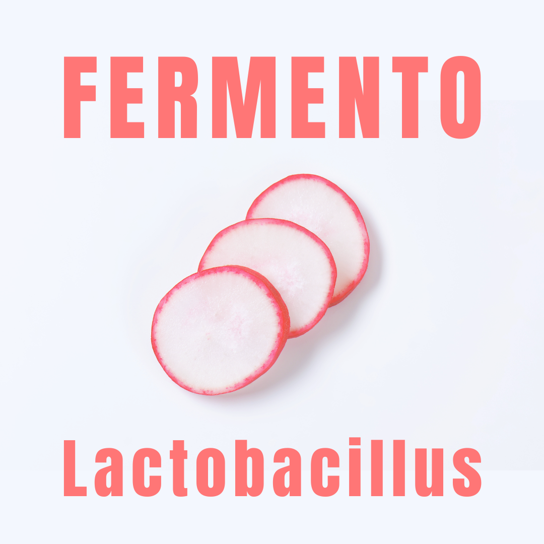 Fermento de Lactobacillus - Conservante Natural - Simple As.