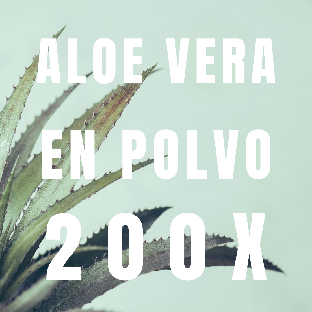 Polvo De Gel De Aloe Vera 200x - Simple As.
