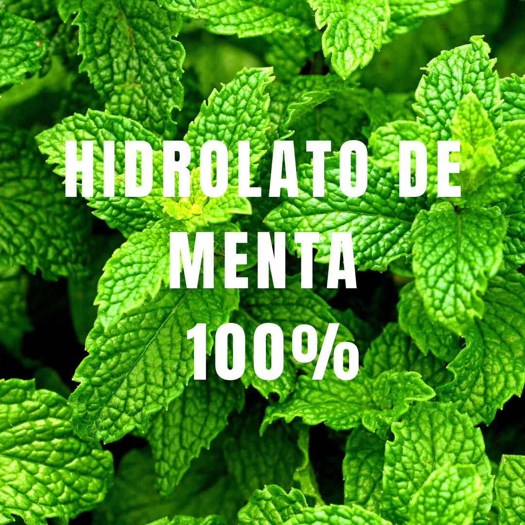 Agua de Menta - Simple As.