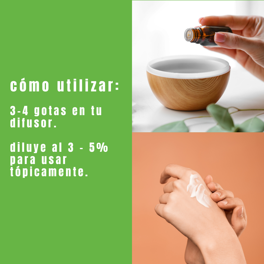 Aceite Esencial de Alcanfor - Simple As.