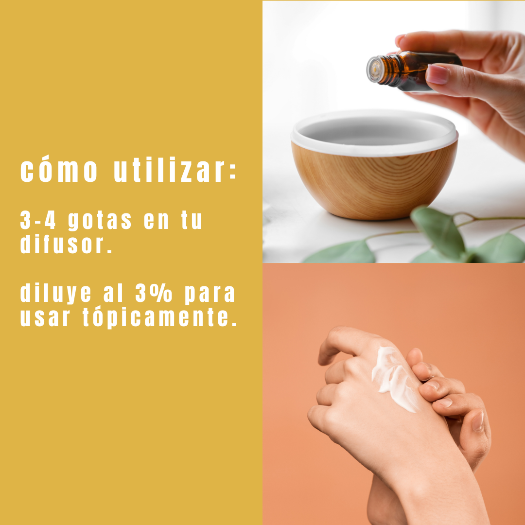 Aceite Esencial de Frankincienso