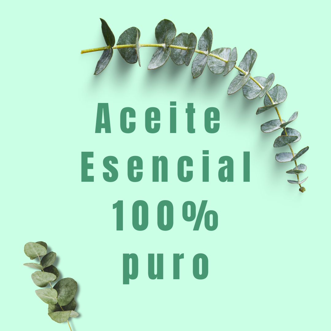 Aceite Esencial de Eucalipto Orgánico