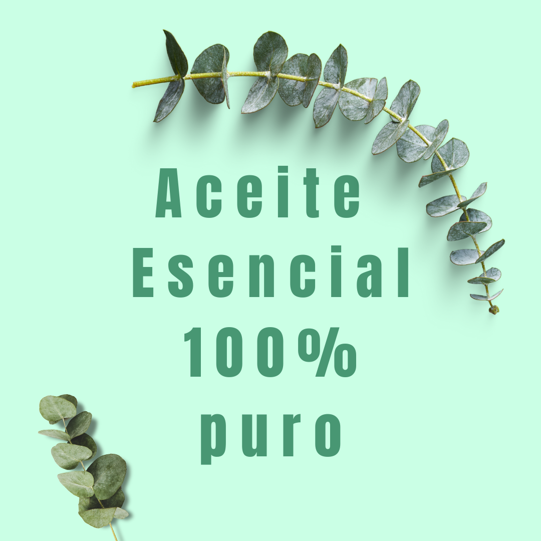 foto de eucalipto seco a lado Aceite Esencial de Eucalipto Orgánico de Simple As.