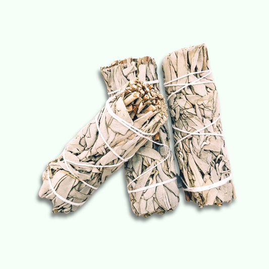 salvia blanca con fondo plano